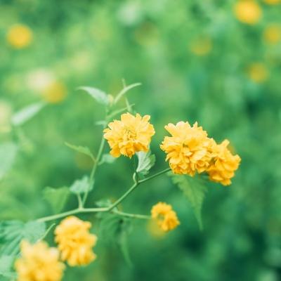 17hihi游戏平台app下载